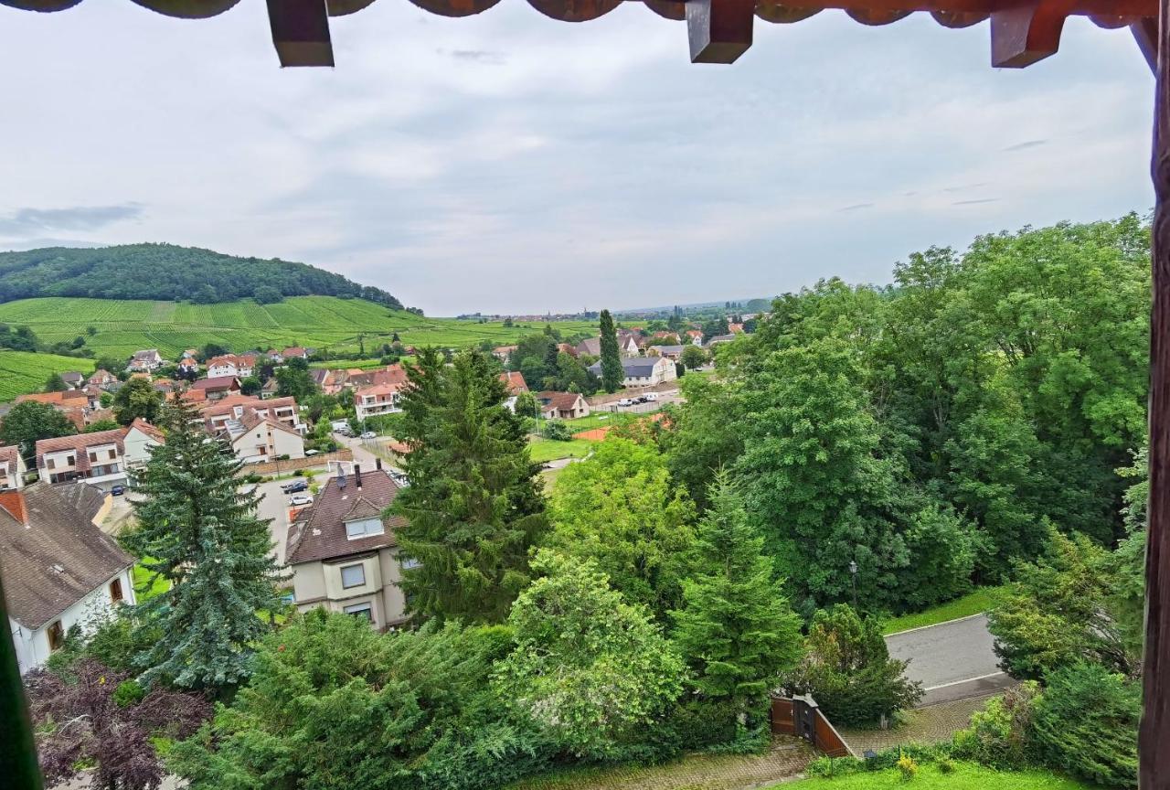 Apartmán Chez Aude Andlau-au-Val Exteriér fotografie