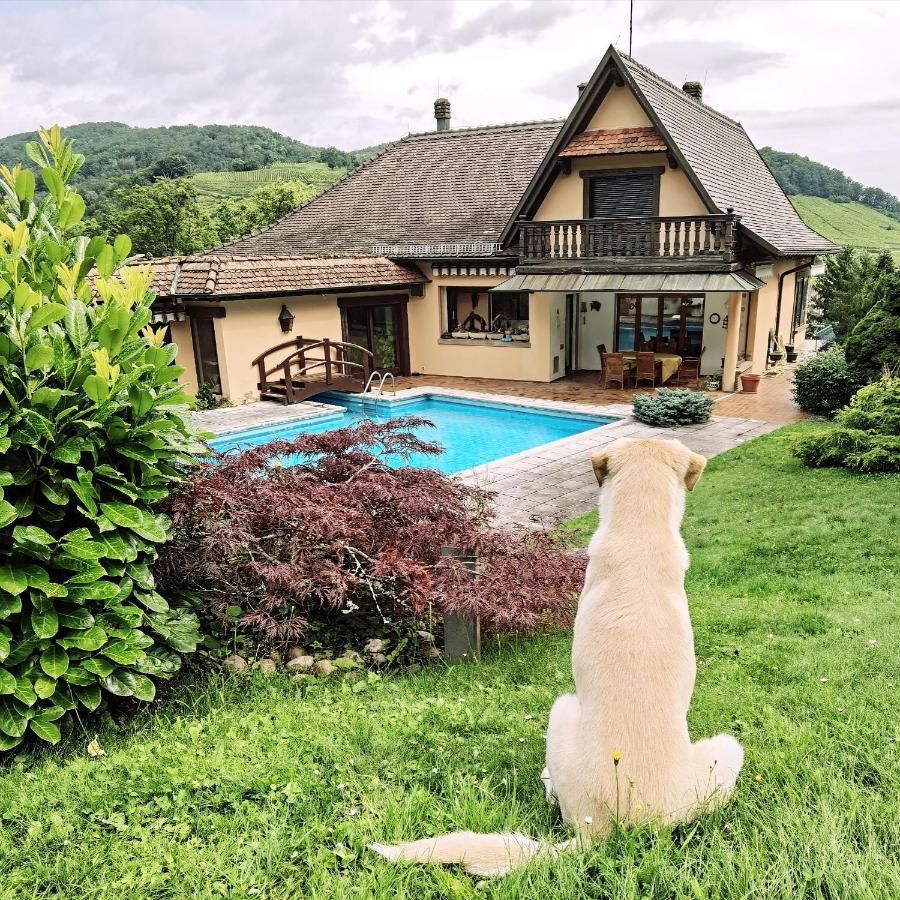 Apartmán Chez Aude Andlau-au-Val Exteriér fotografie