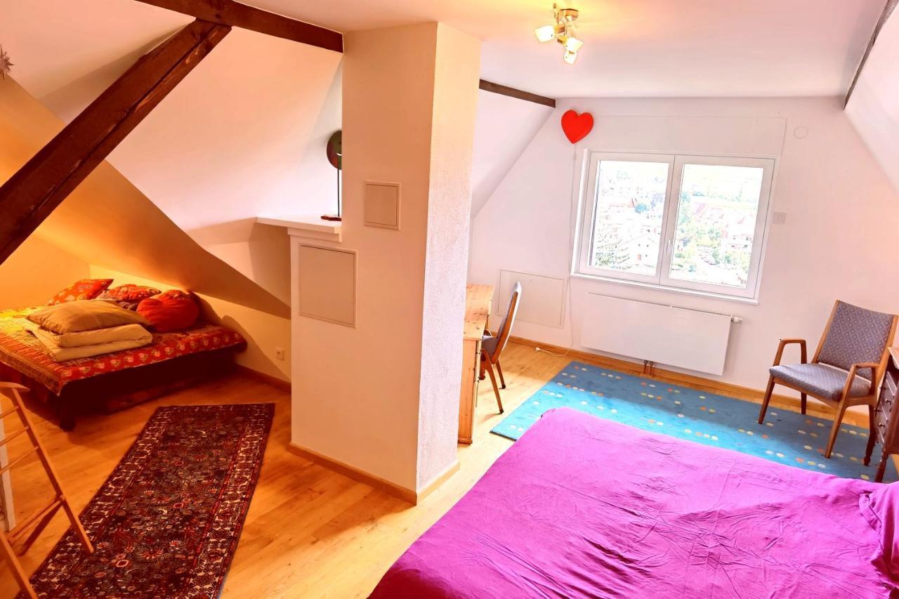 Apartmán Chez Aude Andlau-au-Val Exteriér fotografie